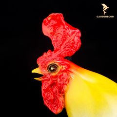 Con Gà Trống Gáy Bằng Đồng