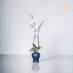 Trang Trí Để Bàn - Bình Hoa Lan Hồ Điệp Bằng Đồng