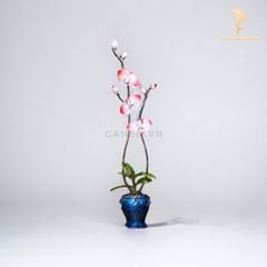 Trang Trí Để Bàn - Bình Hoa Lan Hồ Điệp Bằng Đồng