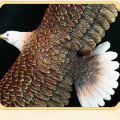 Tương Đồng Cao Cấp - Đại Bàng Chí Kim