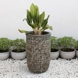  Bubble Cylinder Atlantic Planter | AUV026 