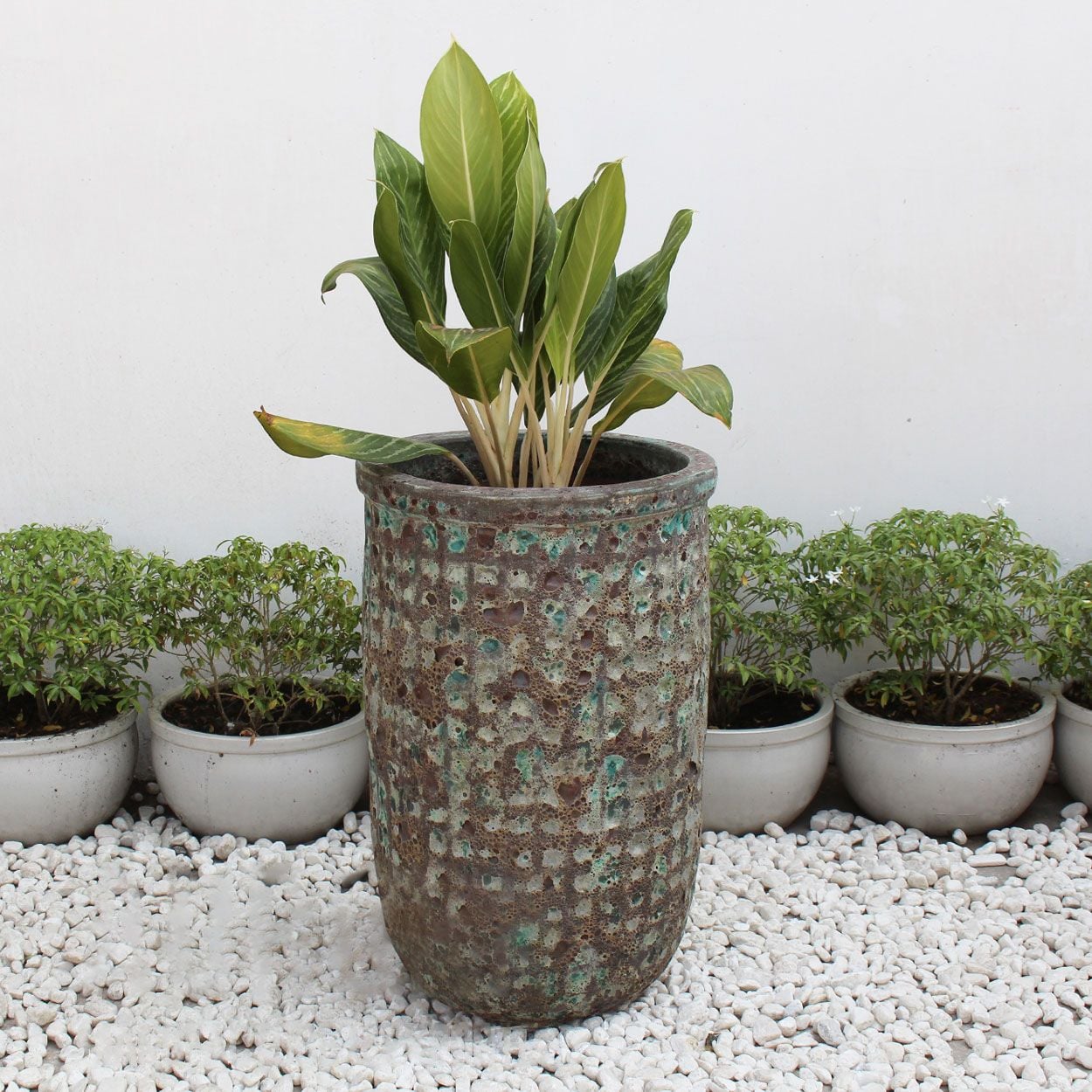  Bubble Cylinder Atlantic Planter | AUV026 