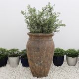  Antique-Inspired Ceramic Vase Planter | AUV027 