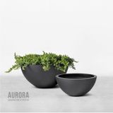  Big Decorative Bowl | AUFS003 