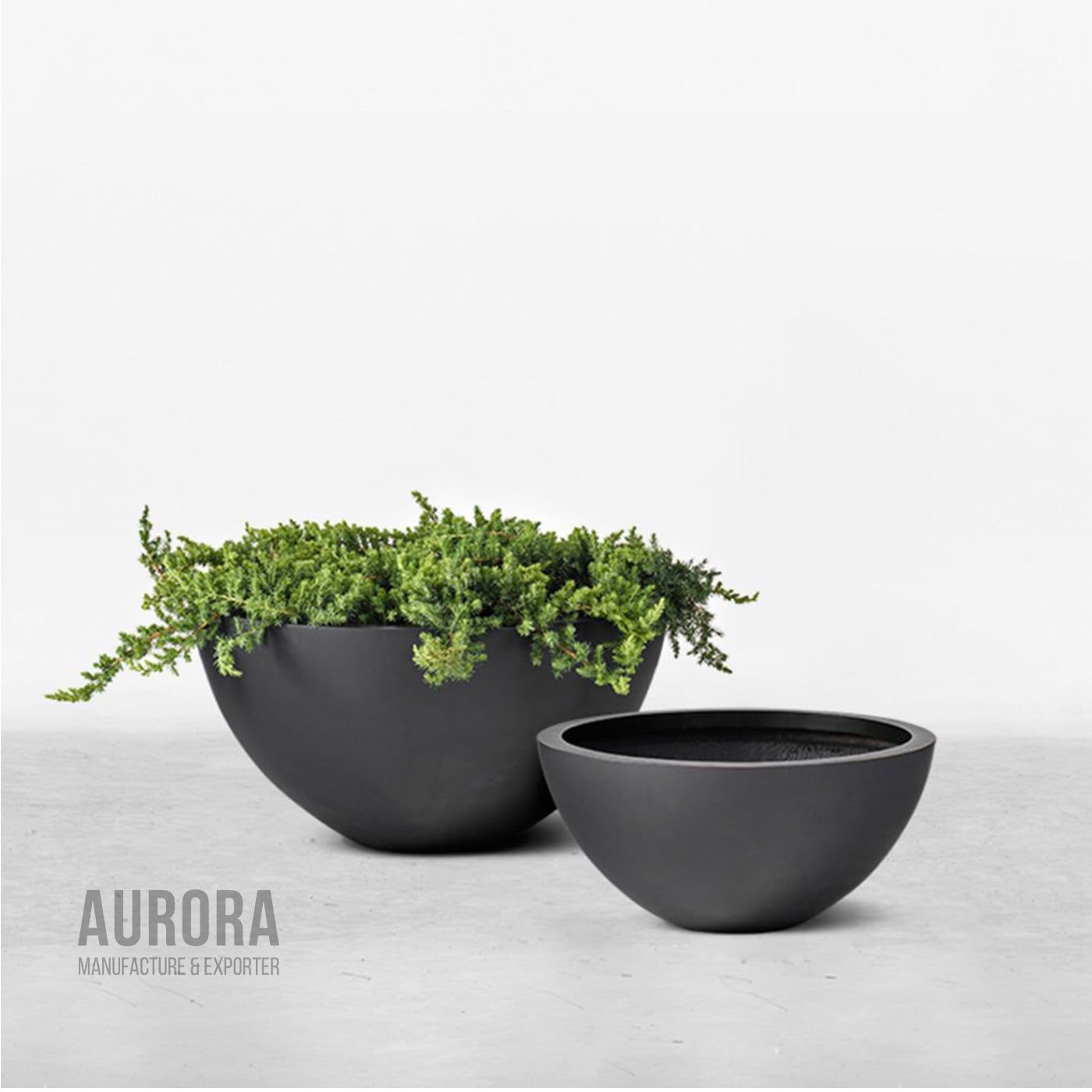  Big Decorative Bowl | AUFS003 