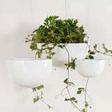  Wire Hanging Pots Planter | AUFS066 