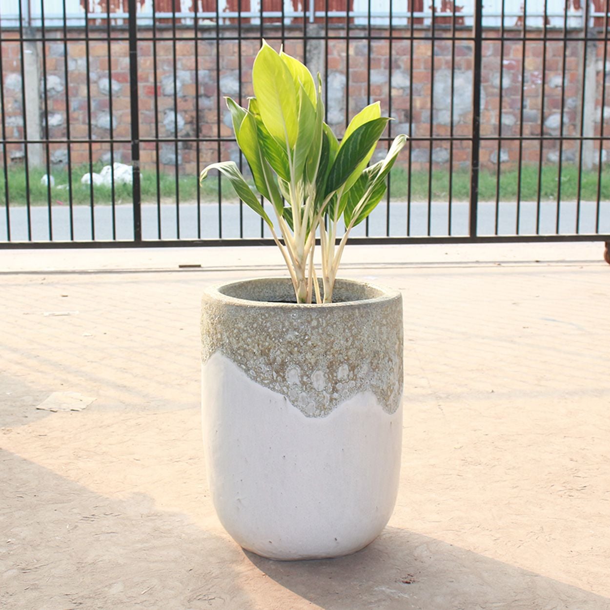  Bubbling Ceramic Planter | AUV074 