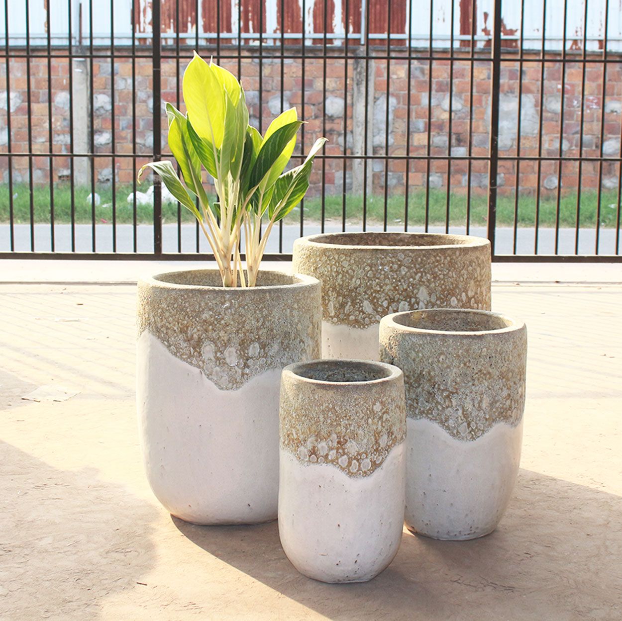  Bubbling Ceramic Planter | AUV074 