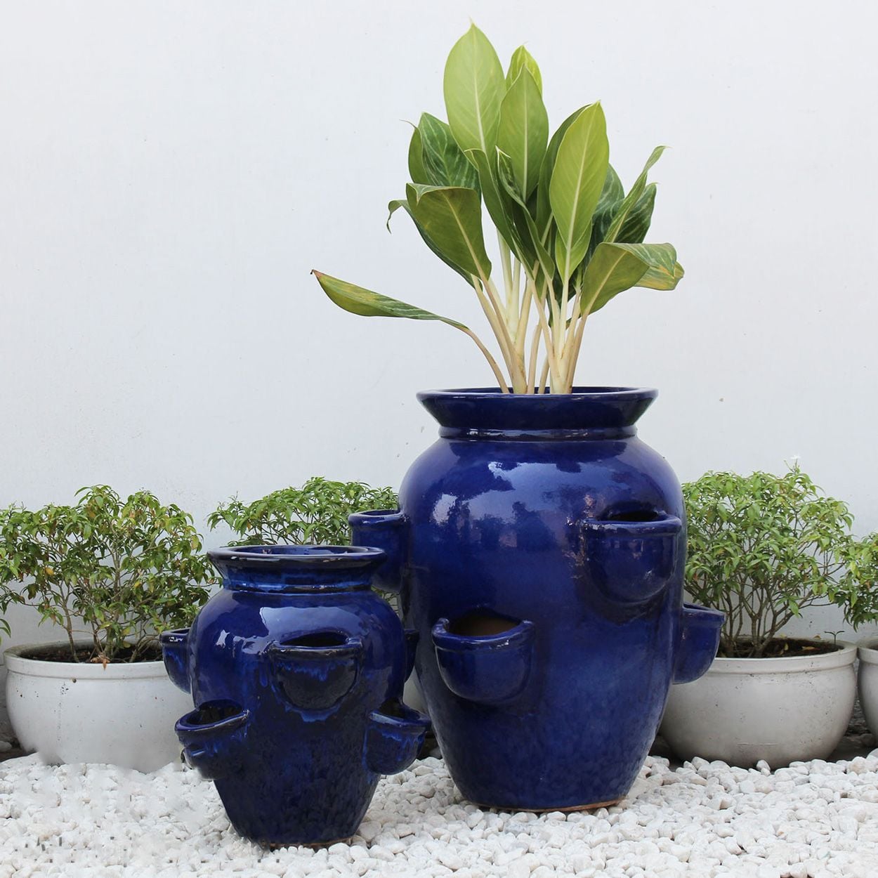  Ceramic Blue Water Jar Planter | AUD021 