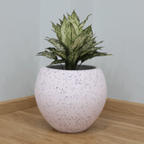  White Terrazzo Fibercement Planter | AUFC036 