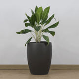  Classic Black Fibercement Planter | AUFC031 