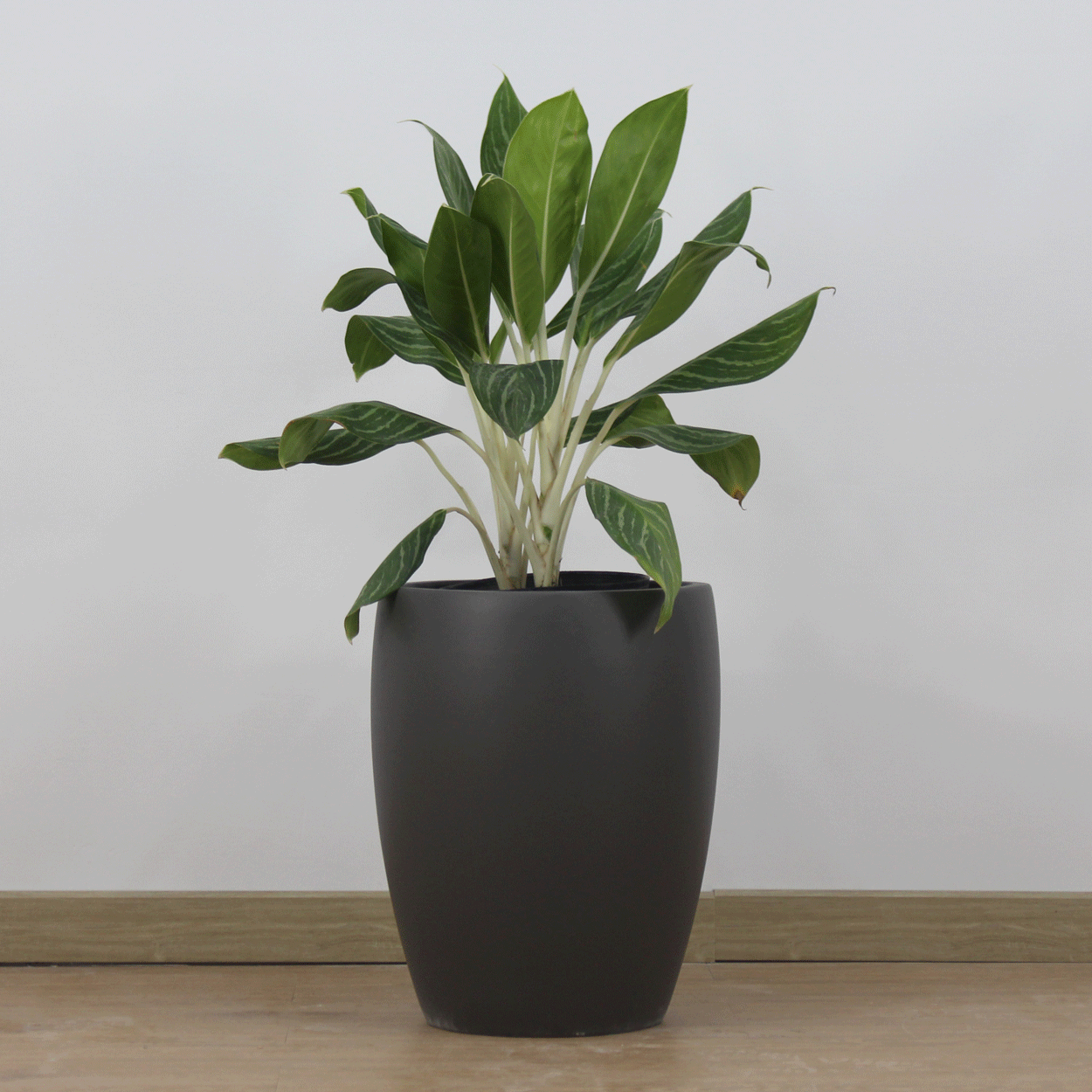  Classic Black Fibercement Planter | AUFC031 