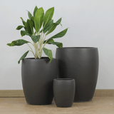  Classic Black Fibercement Planter | AUFC031 