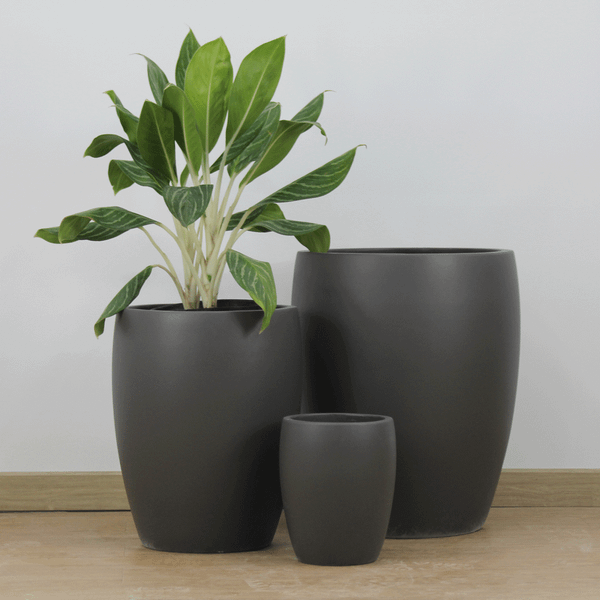 Classic Black Fibercement Planter AUFC031 - 1