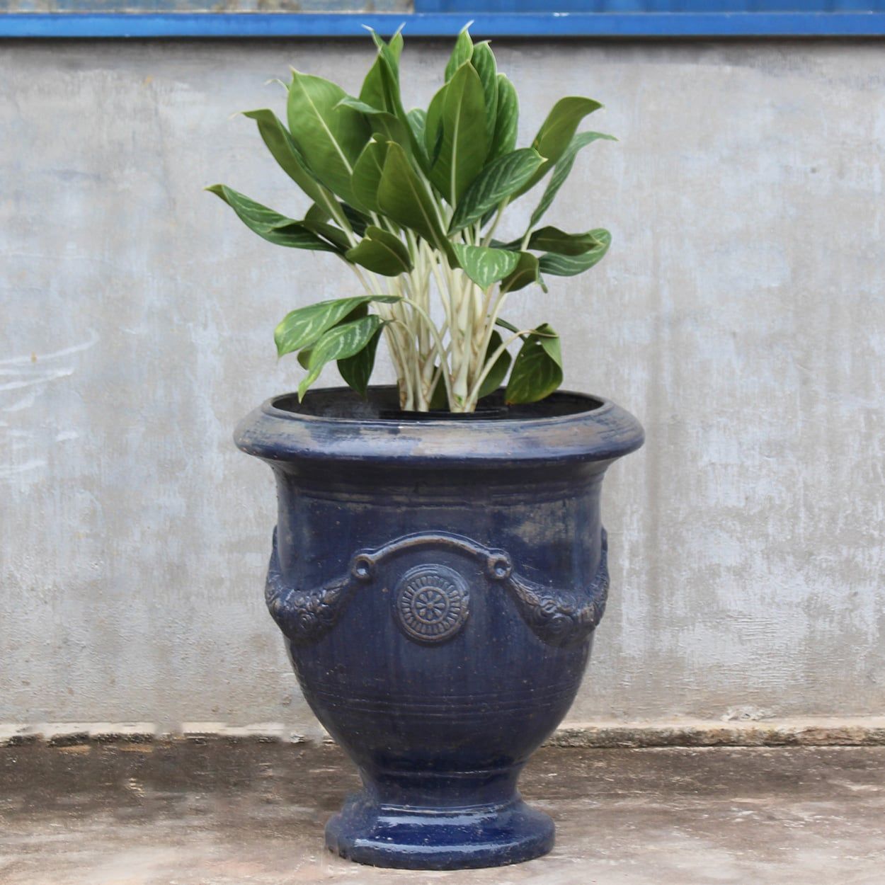  Classic Blue Ceramic Urn Planter | AUP044 