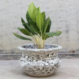  Classic Lava Stone Planter | AUP026 