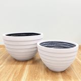  Cone Spiral Pots Planter | AUFS122 