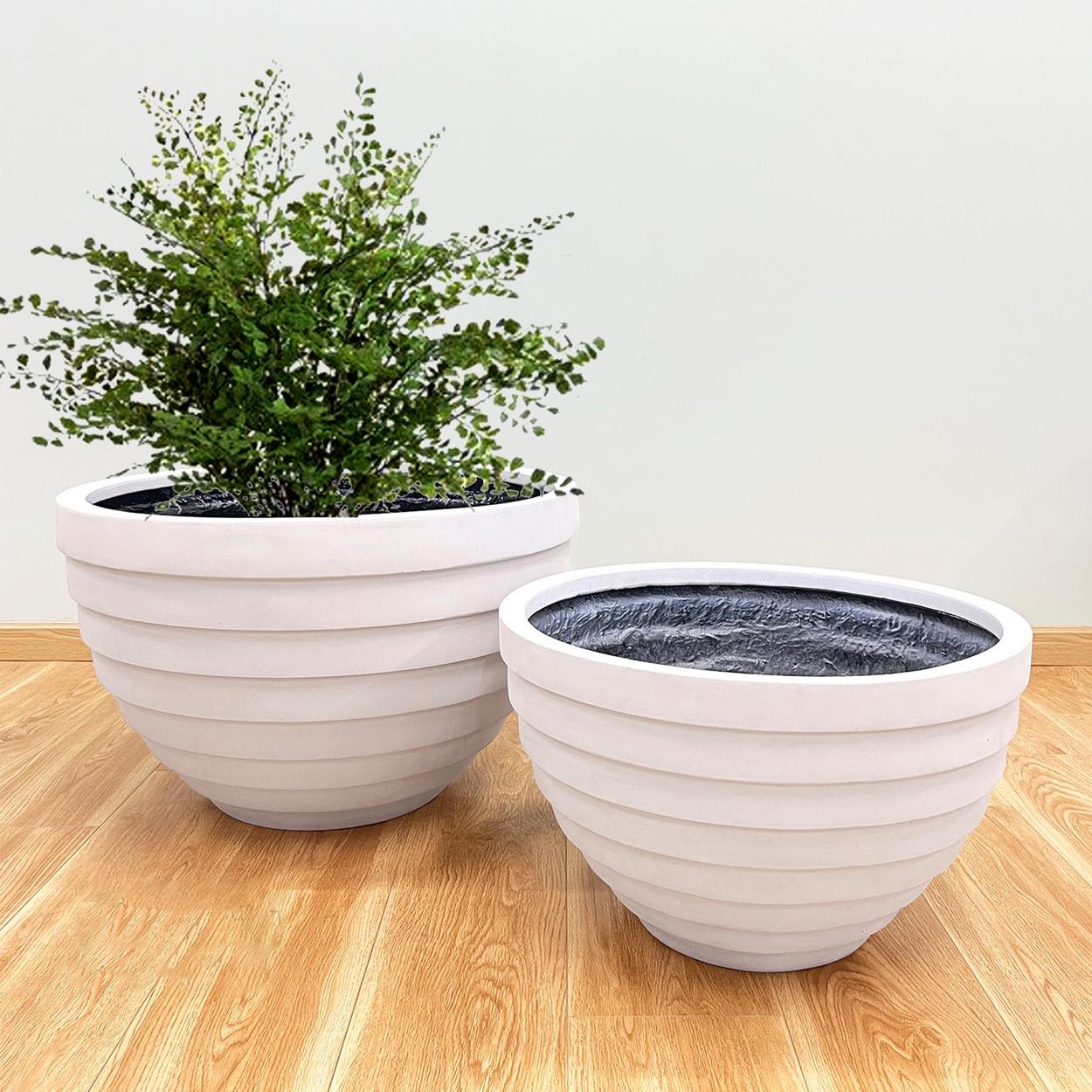  Cone Spiral Pots Planter | AUFS122 
