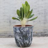  Distressed Ceramic Planter | AUP014 