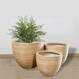 Fine Horizontal Stripes Pots Planter | AUFS021 