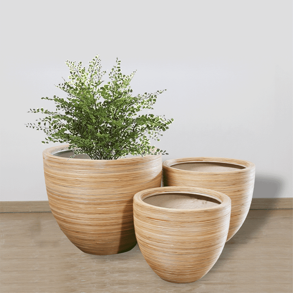 Fine Horizontal Stripes Pots Planter AUFS021 - 1
