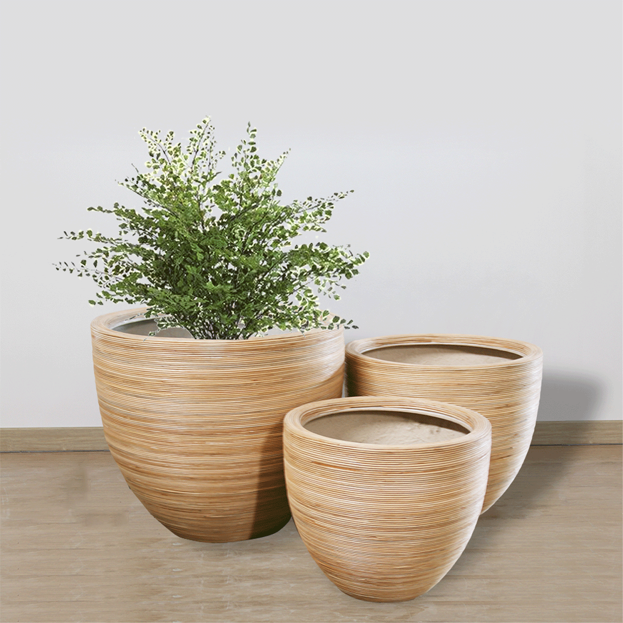  Fine Horizontal Stripes Pots Planter | AUFS021 