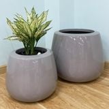  Glossy Grey Round Pots Planter | AUFS013 