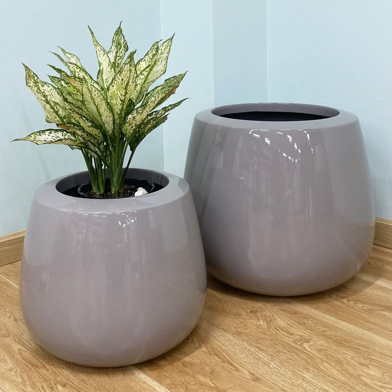  Glossy Grey Round Pots Planter | AUFS013 