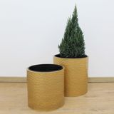  Hammered Gold Cylindrical Planter | AUM014 