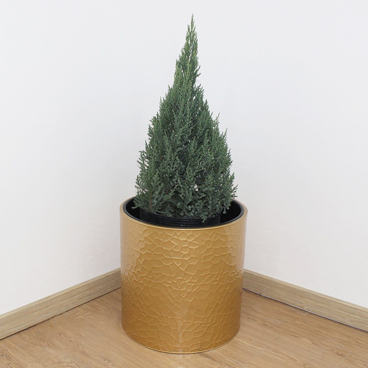  Hammered Gold Cylindrical Planter | AUM014 