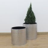  Hammered Silver Cylindrical Planter | AUM013 