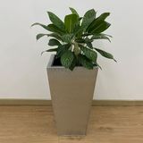  Hammered Silver Rectangular Planter | AUM012 