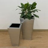  Hammered Silver Rectangular Planter | AUM012 