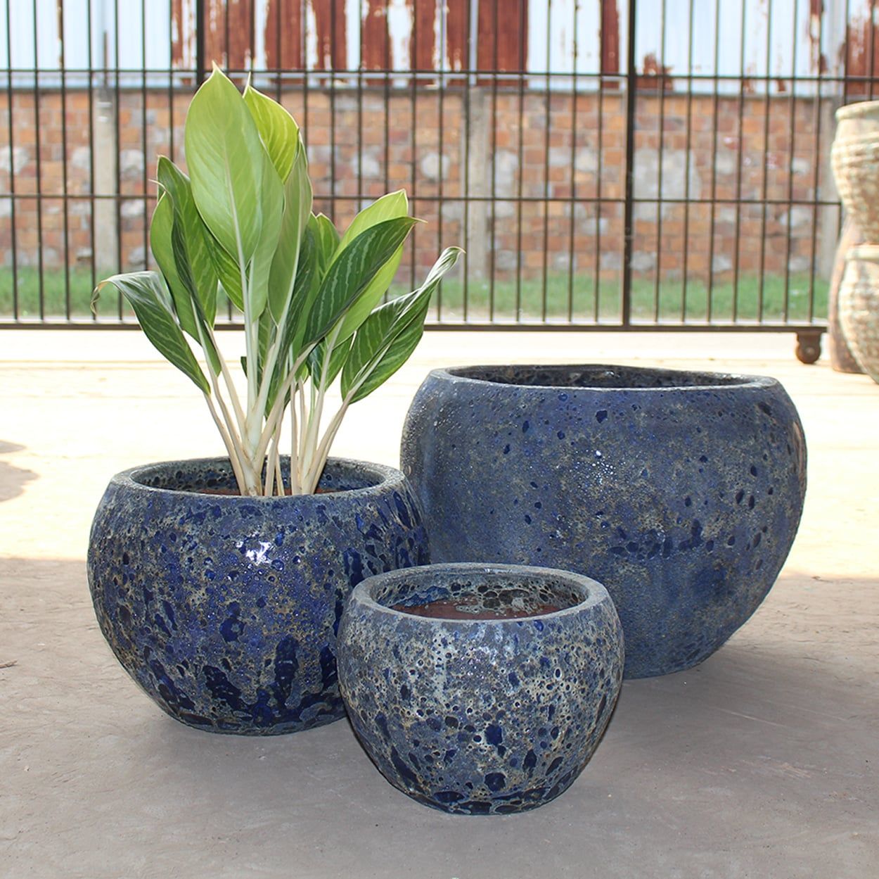  Lapis Ceramic Planter | AUV003 