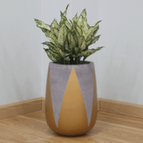  Large Drum Lightweight Concrete Planter | AUFC021 
