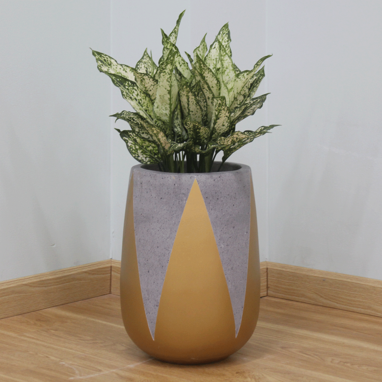  Large Drum Lightweight Concrete Planter | AUFC021 