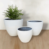  Large Round Egg Pots Planter | AUFS006 