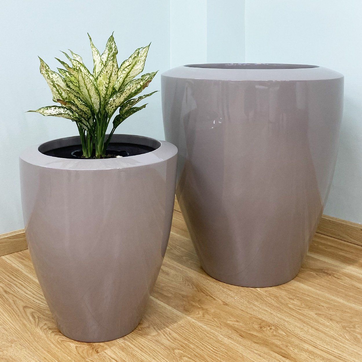  Legacy Round Tall Pots Planter | AUFS024 