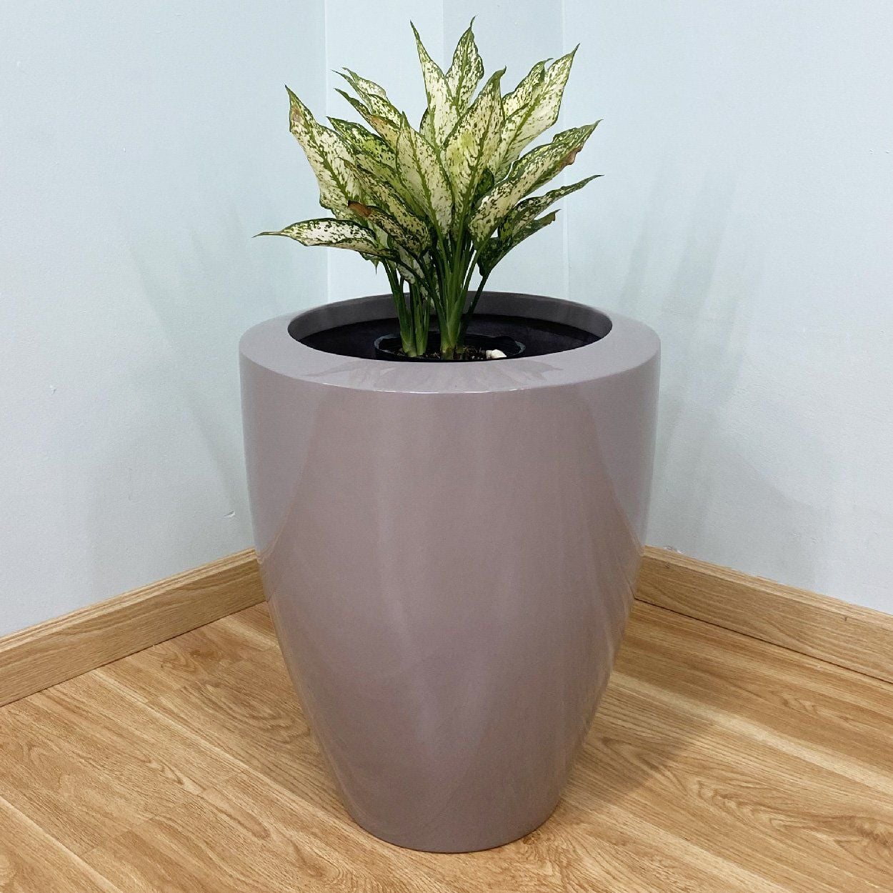  Legacy Round Tall Pots Planter | AUFS024 