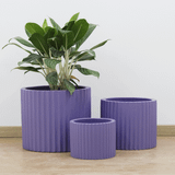  Low Cylinder Round Lightweight Concrete Planter | AUFC001 