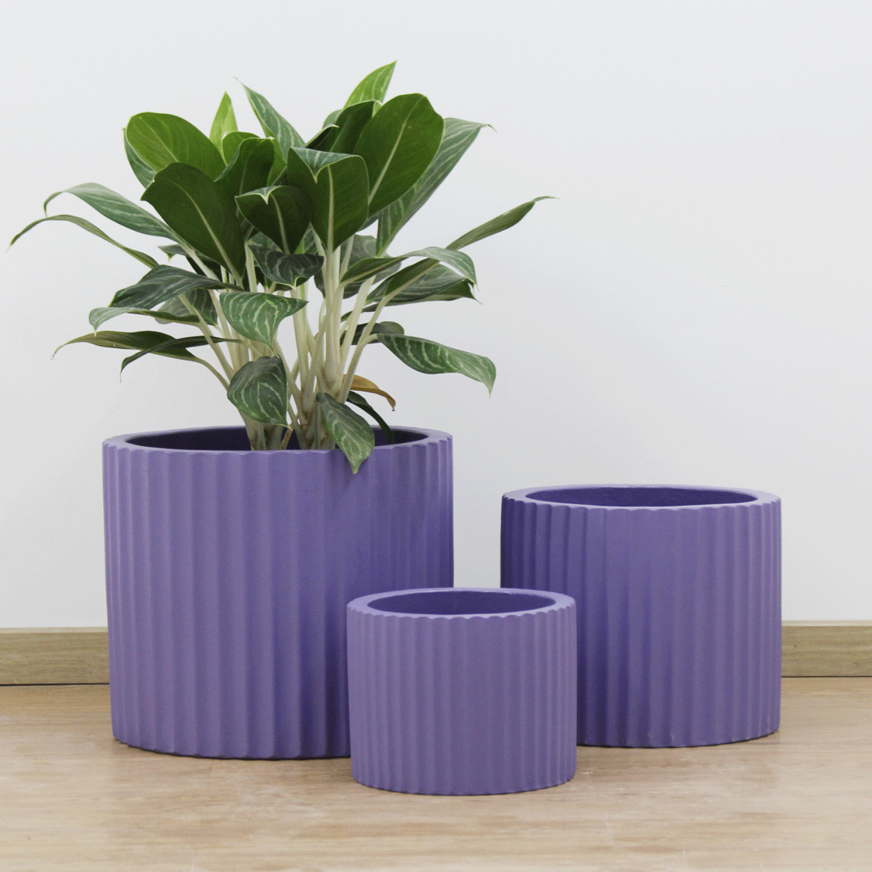  Low Cylinder Round Lightweight Concrete Planter | AUFC001 
