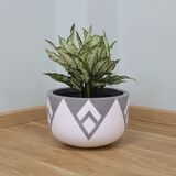  Low Round Lightweight Concrete Planter | AUFC017 