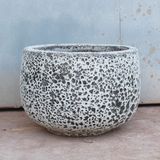  Modern Concrete Texture Round Planter | AUP060 