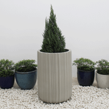  Natural Striped Fibercement Planter | AUFC009 
