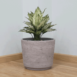  Natural Surface Lightweight Concrete Planter | AUFC040 