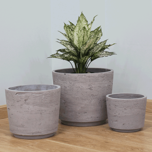 Natural Surface Lightweight Concrete Planter AUFC040 - 1