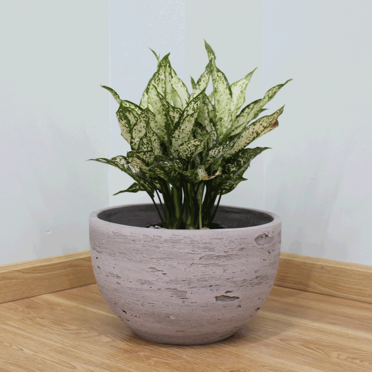  Natural Surface Round Lightweight Concrete Planter | AUFC045 