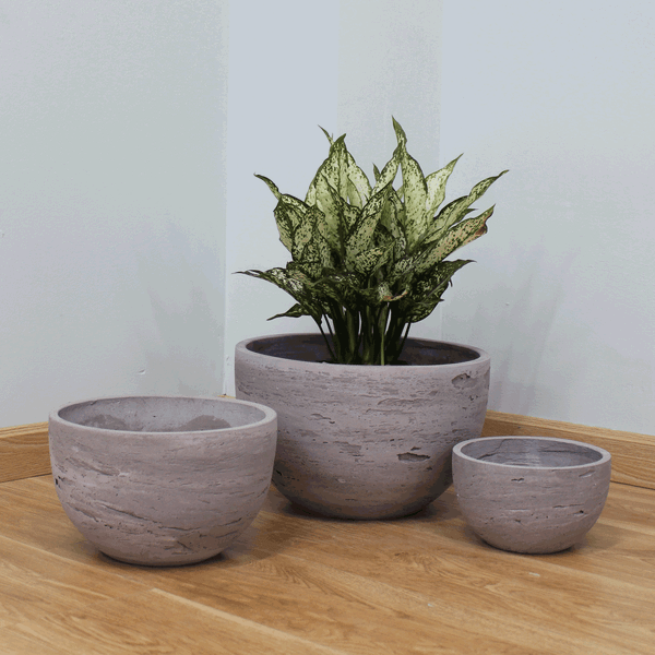 Natural Surface Round Lightweight Concrete Planter AUFC045 - 1