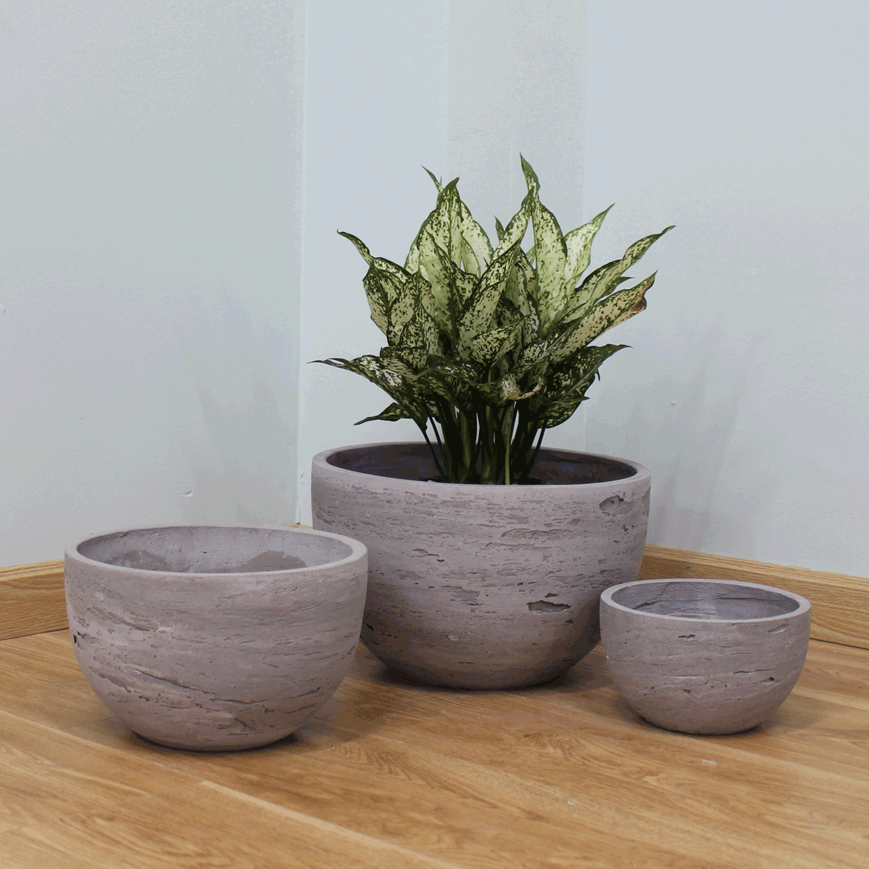  Natural Surface Round Lightweight Concrete Planter | AUFC045 