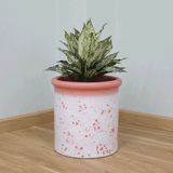  Petal Patterned Fibercement Planter | AUFC076 